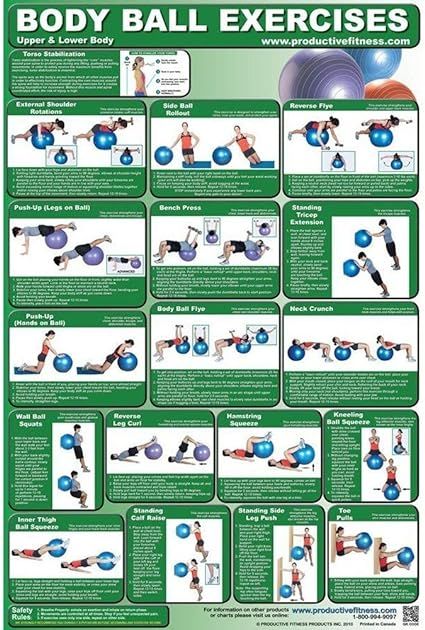 Body Ball Exercises Poster | Exercise Publications | Posters ...
