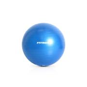 FIT505 65cm Stability Ball   FIT505 65cm Stability Ball