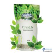 Avena E-Fusion   Avena E-Fusion