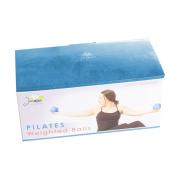 JF Pilates Weighted Ball Pair Set - 1lb   JF Pilates Weighted Ball Pair Set - 1lb