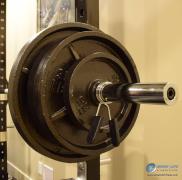 Grey Hammer Toned Olympic Plate   Grey Hammer Toned Olympic Plate